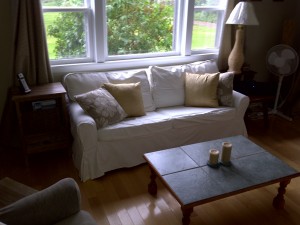 downstairs_living_room