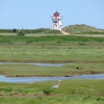 Covehead LIghthouse - a short walk from cottage